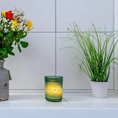 Schleivilla-ahoi-by-seeblick-ferien-oro-3-sz-sauna-wasserlage *